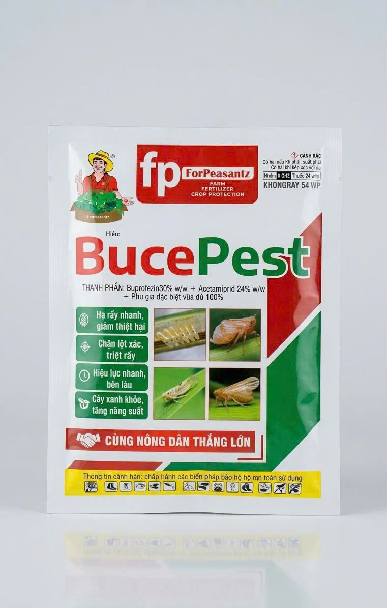 Buce Pest