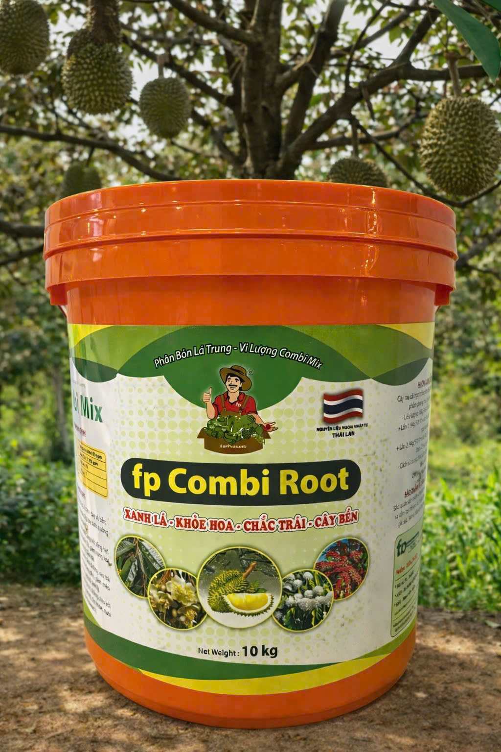 fp Combi Roots